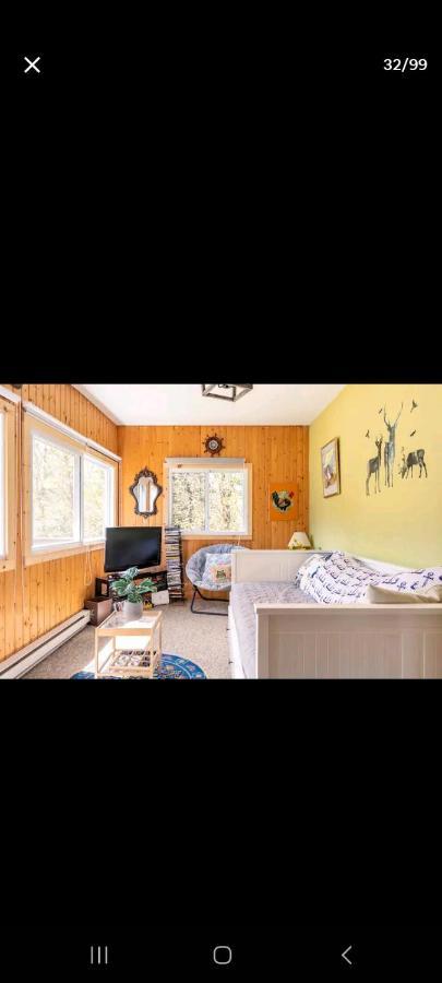 Lac-Simon Le Petit Cottage Du Grand Boise מראה חיצוני תמונה